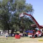 zdjęcie nr 38