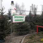 zdjęcie nr 30