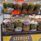 zdjęcie nr 25