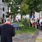 zdjęcie nr 41