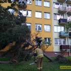 zdjęcie nr 7