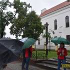 zdjęcie nr 10