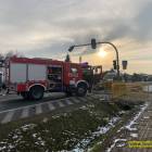 Fotka nr 5 z 17
