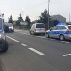 Fotka nr 4 z 14