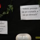 Fotka nr 4 z 66