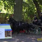 zdjęcie nr 26
