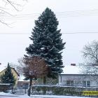 zdjęcie nr 8