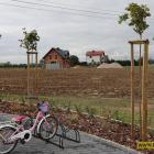 zdjęcie nr 20