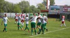 zdjęcie nr 11