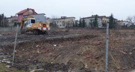 Fotka nr 5 z 6