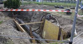Fotka nr 5 z 11