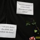 Fotka nr 5 z 66