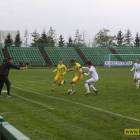 Fotka nr 3 z 17