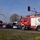 Fotka nr 1 z 11