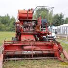 zdjęcie nr 43