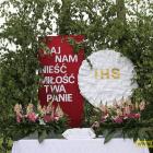 zdjęcie nr 9