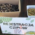 zdjęcie nr 