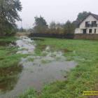 Fotka nr 4 z 13