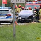 Fotka nr 1 z 16