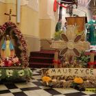 zdjęcie nr 80