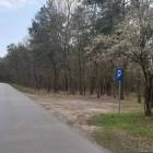 zdjęcie nr 15