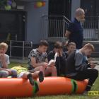 zdjęcie nr 177