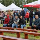 zdjęcie nr 27