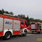 Fotka nr 1 z 43