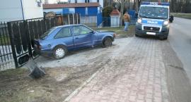 Fotka nr 2 z 5