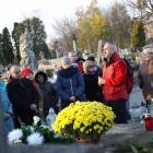 zdjęcie nr 17
