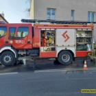 Fotka nr 2 z 11