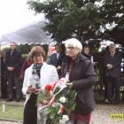 zdjęcie nr 40