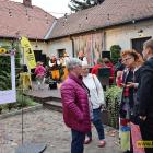 zdjęcie nr 53