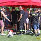 Fotka nr 2 z 110