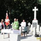 zdjęcie nr 16