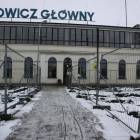 zdjęcie nr 7