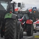 zdjęcie nr 19