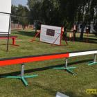 zdjęcie nr 50
