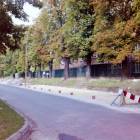 zdjęcie nr 13