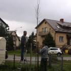 zdjęcie nr 8