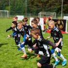 Fotka nr 1 z 16