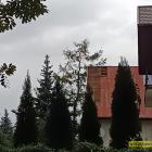 Fotka nr 4 z 6