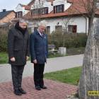 zdjęcie nr 7