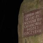 zdjęcie nr 21
