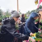 zdjęcie nr 57