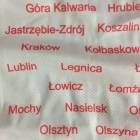 Fotka nr 4 z 6