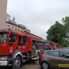 Fotka nr 4 z 14