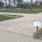 zdjęcie nr 11