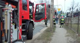 Fotka nr 4 z 6