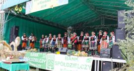 Fotka nr 0 z 12